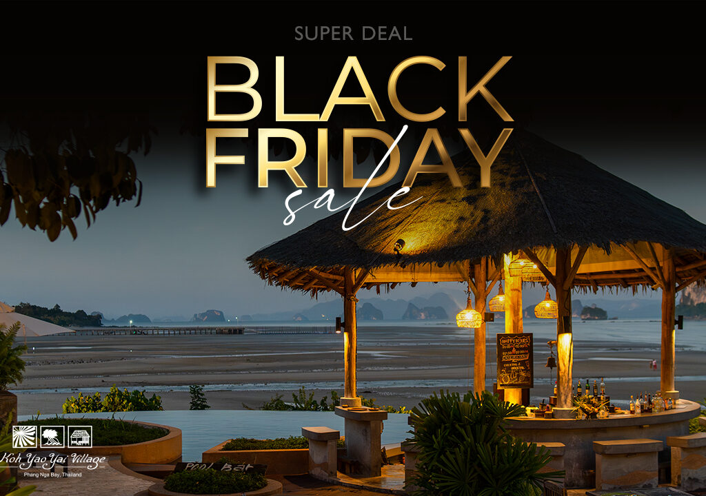Offre exceptionnelle Black Friday