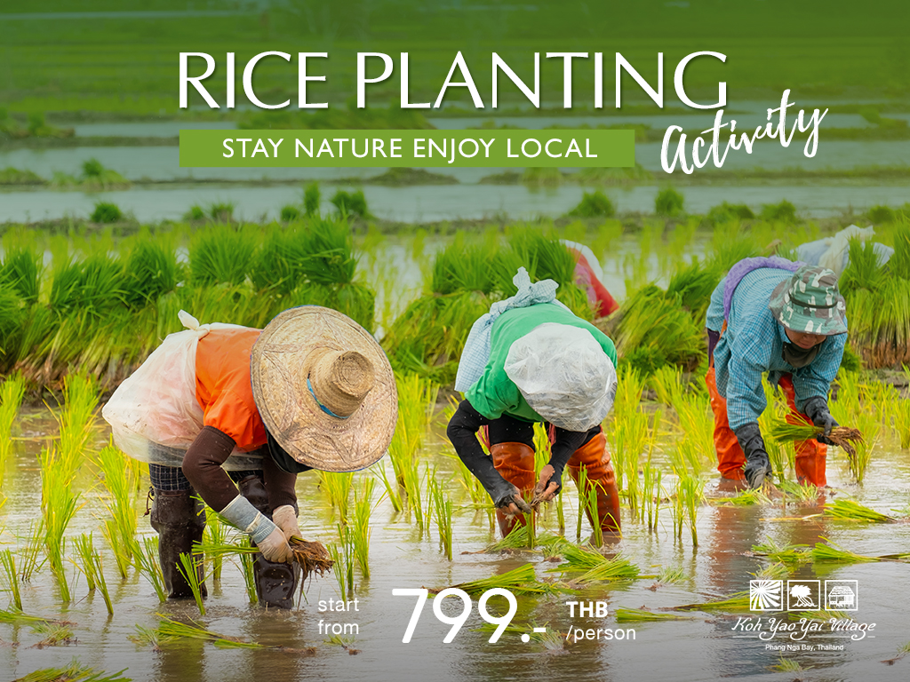Rice Planting Activity